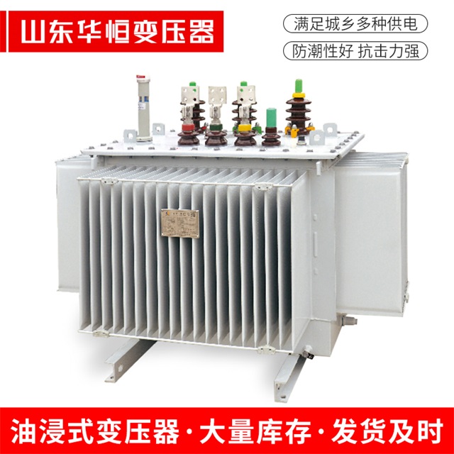 S13-10000/35林周林周林周电力变压器