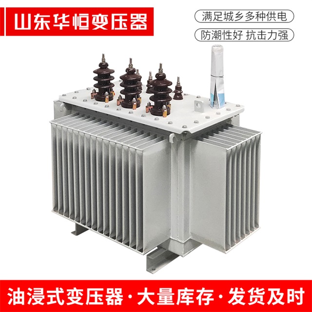 S13-10000/35林周林周林周油浸式变压器厂家